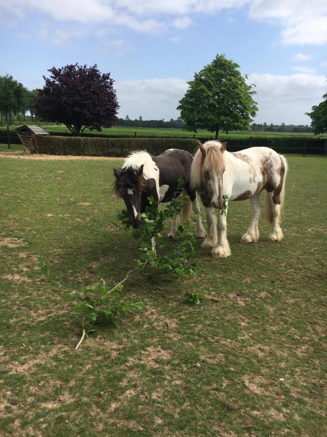 B&B En Wellness De Waalhoeve Angerlo Esterno foto
